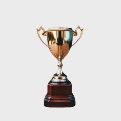 Winning Trophy For Sports And Academy