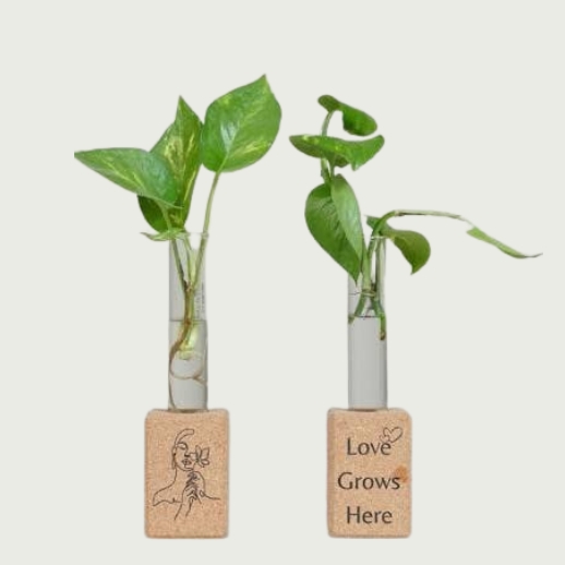 Customized Cork Planter