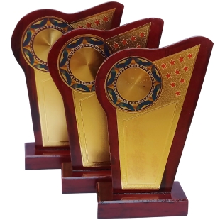 Brown Wooden Momento for Award Ceremonies